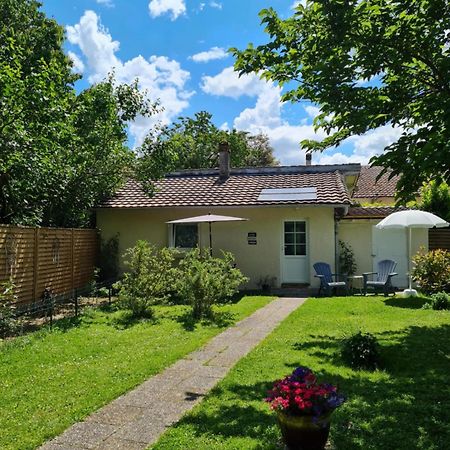Bed and Breakfast Les Cedres Bleus Saint-Medard-de-Mussidan Exterior foto