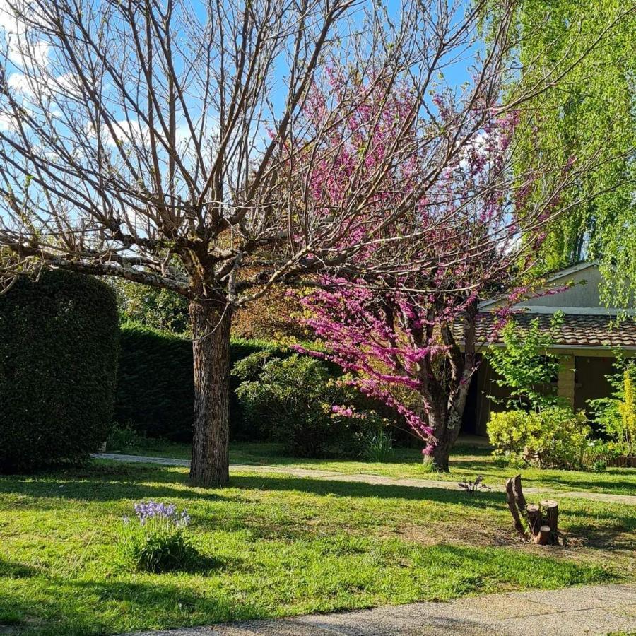 Bed and Breakfast Les Cedres Bleus Saint-Medard-de-Mussidan Exterior foto