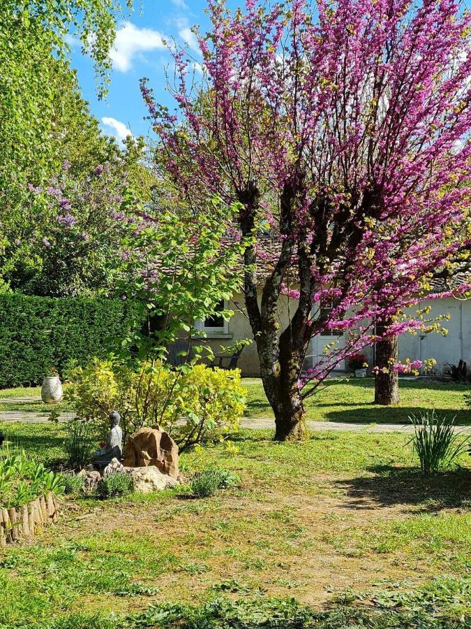 Bed and Breakfast Les Cedres Bleus Saint-Medard-de-Mussidan Exterior foto