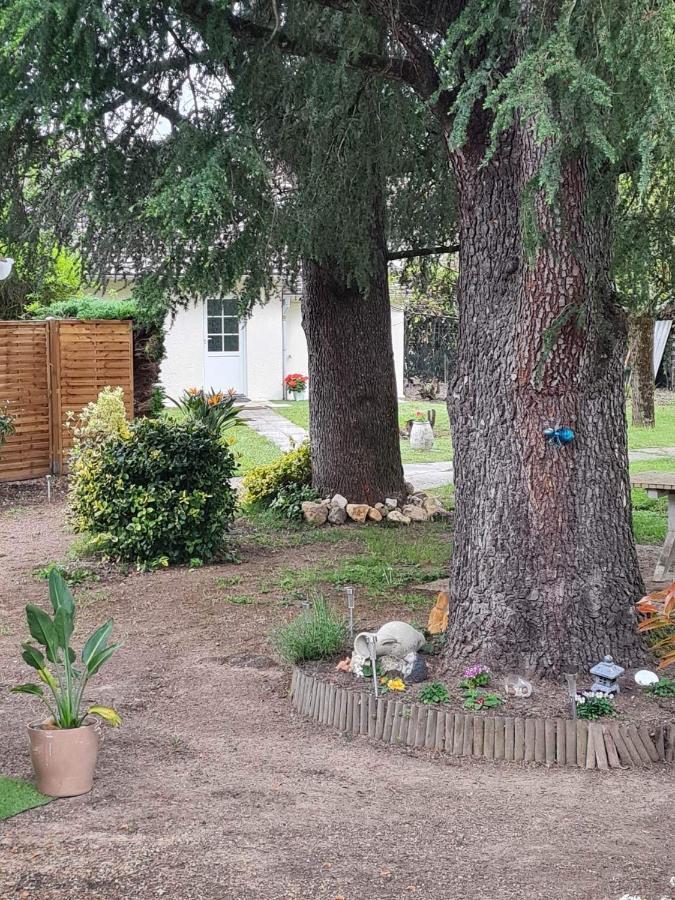 Bed and Breakfast Les Cedres Bleus Saint-Medard-de-Mussidan Exterior foto